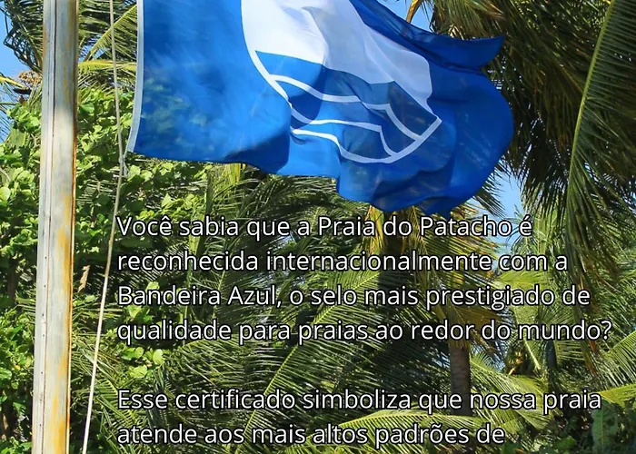 Morada Patacho